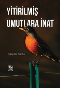 Yitirilmiş Umutlara İnat