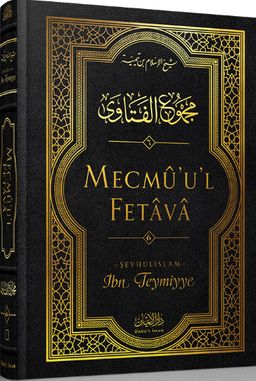 Mecmu'u'l Fetava (6. Cilt)