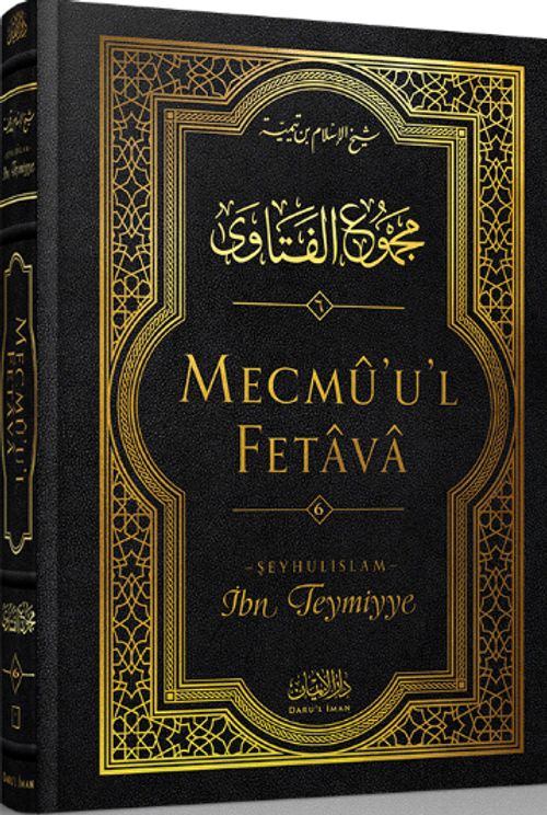 Mecmu'u'l Fetava (6. Cilt)
