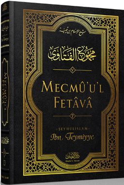 Mecmu'u'l Fetava (7. Cilt)