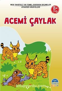 Acemi Çaylak / Atasözü Hikayeleri / 3. Sınıf 100 Temel Eserden Seçmeler Set 1 - Bilinmeyen Yazar
