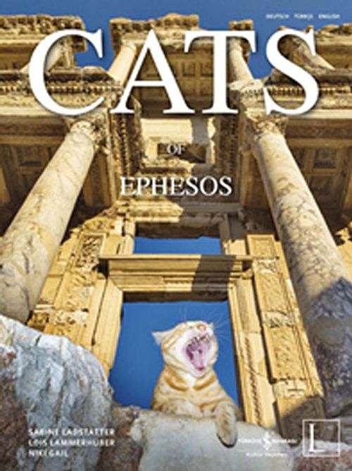 Cats Of Ephesos