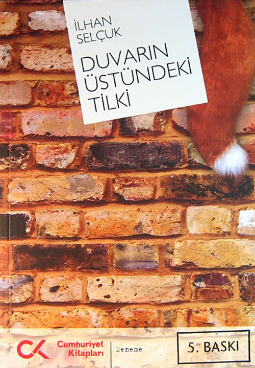 Duvarın Üstündeki Tilki