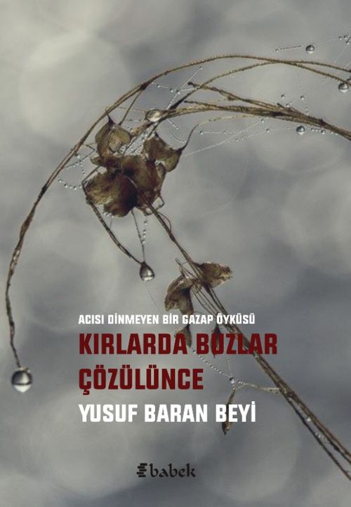 Kırlarda Buzlar Çözülünce