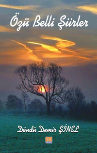 Özü Belli Şiirler