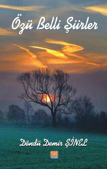 Özü Belli Şiirler