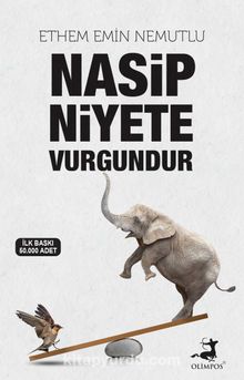 Nasip Niyete Vurgundur - Ethem Emin Nemutlu