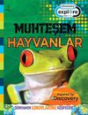 Muhteşem Hayvanlar