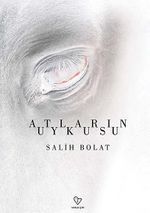 Atların Uykusu