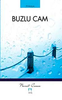 Buzlu Cam