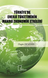 Türkiye’de Enerji Tüketiminin Makro Ekonomik Etkileri