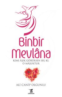 Binbir Mevlana & Kimi Aşık Görürsen Bil Ki, O Maşuktur