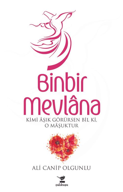 Binbir Mevlana & Kimi Aşık Görürsen Bil Ki, O Maşuktur