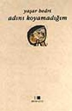 Adını Koyamadığım