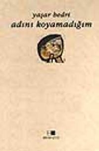 Adını Koyamadığım