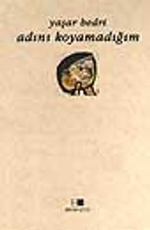 Adını Koyamadığım