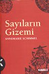 Sayıların Gizemi