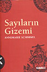 Sayıların Gizemi