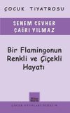 Bir Flamingonun Renkli ve &Ccedil;i&ccedil;ekli Hayatı