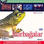 Kurbağalar (VCD)