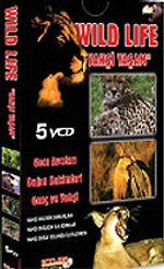 Wild Life (2 VCD)