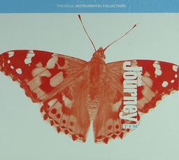 The Basilica Journey & Yerebatana Yolculuk (Cd)