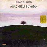 Ağaç Gizli Büyüdü
