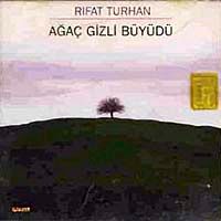 Ağaç Gizli Büyüdü