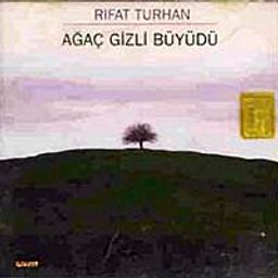 Ağaç Gizli Büyüdü