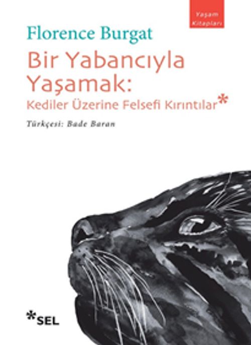 Bir Yabancıyla Yaşamak & Kediler Üzerine Felsefi Kırıntılar