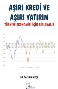 Aşırı Kredi ve  Aşırı Yatırım Türkiye Ekonomisi İçin Bir Analiz 