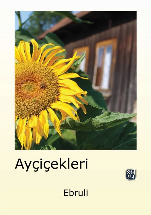 Ayçiçekleri