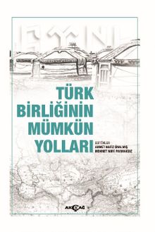 Türk Birliğinin Mümkün Yolları