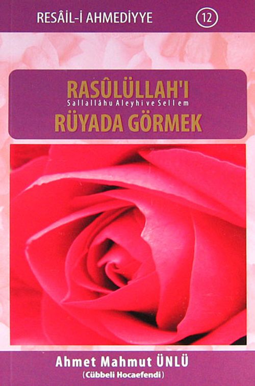 Rasulüllah'ı (s.a.s) Rüyada Görmek