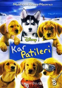Snow Buddies - Kar Patileri (Dvd)