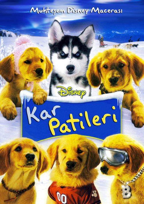 Snow Buddies - Kar Patileri (Dvd)