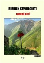 Bırinen Kewnegırti