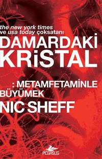 Damardaki Kristal: Metamfetaminle Büyümek