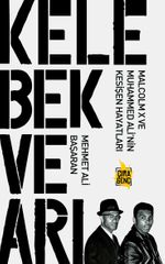 Kelebek ve Arı