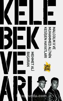 Kelebek ve Arı - Mehmet Ali Başaran