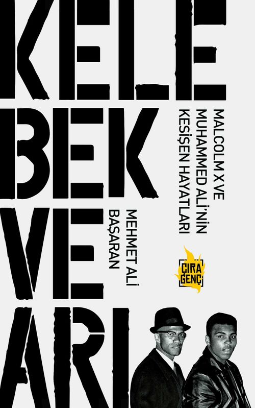 Kelebek ve Arı