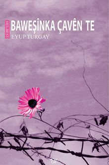 Baweşinka Çaven Te