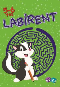 Labirent 5-6 Yaş