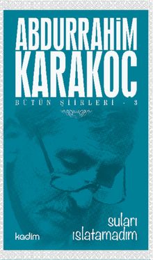 Suları Islatamadım / Bütün Şiirleri 3