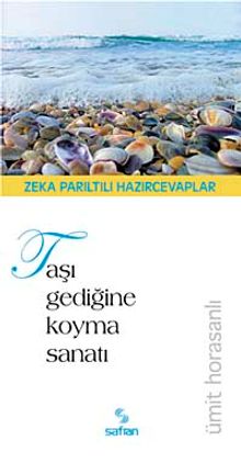 Taşı Gediğine Koyma Sanatı