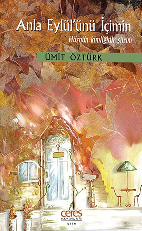Anla Eylül'ünü İçimin & Hüznün Kimliğidir Şiirim