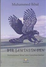 Bir Şahinsin Sen & Muhammed İkbal'den Gençlere Şiirler
