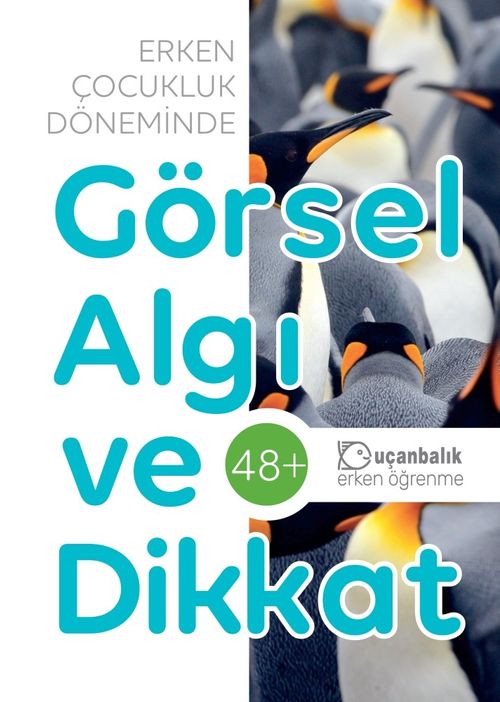 Erken Çocukluk Döneminde Görsel Algı ve Dikkat (48+ Ay)