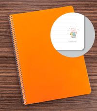 Bookinzi Okul Defteri - 80gr 70 yaprak  A4 Spiralli - Kedili Defter