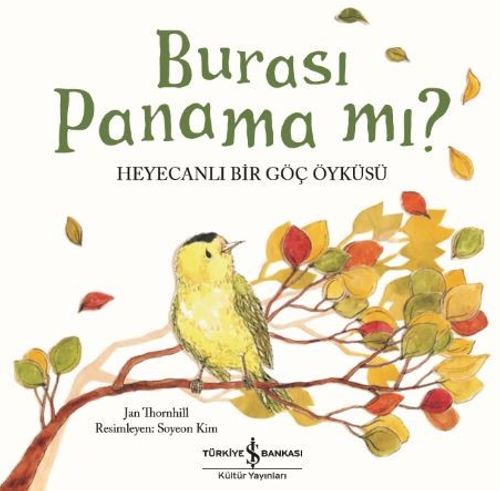Burası Panama Mı ? Heyecanlı Bir Göç Öyküsü 
